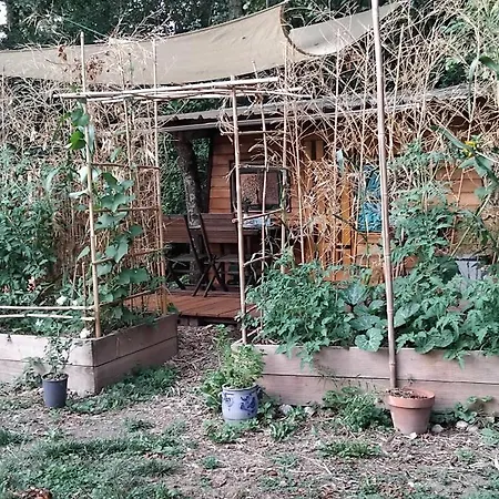 Caravane En Bois